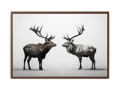 Eye To Eye Stags Canvas Art Print