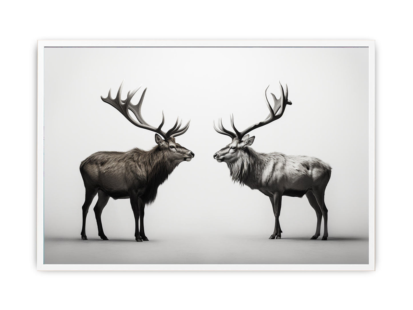 Eye To Eye Stags Canvas Art Print