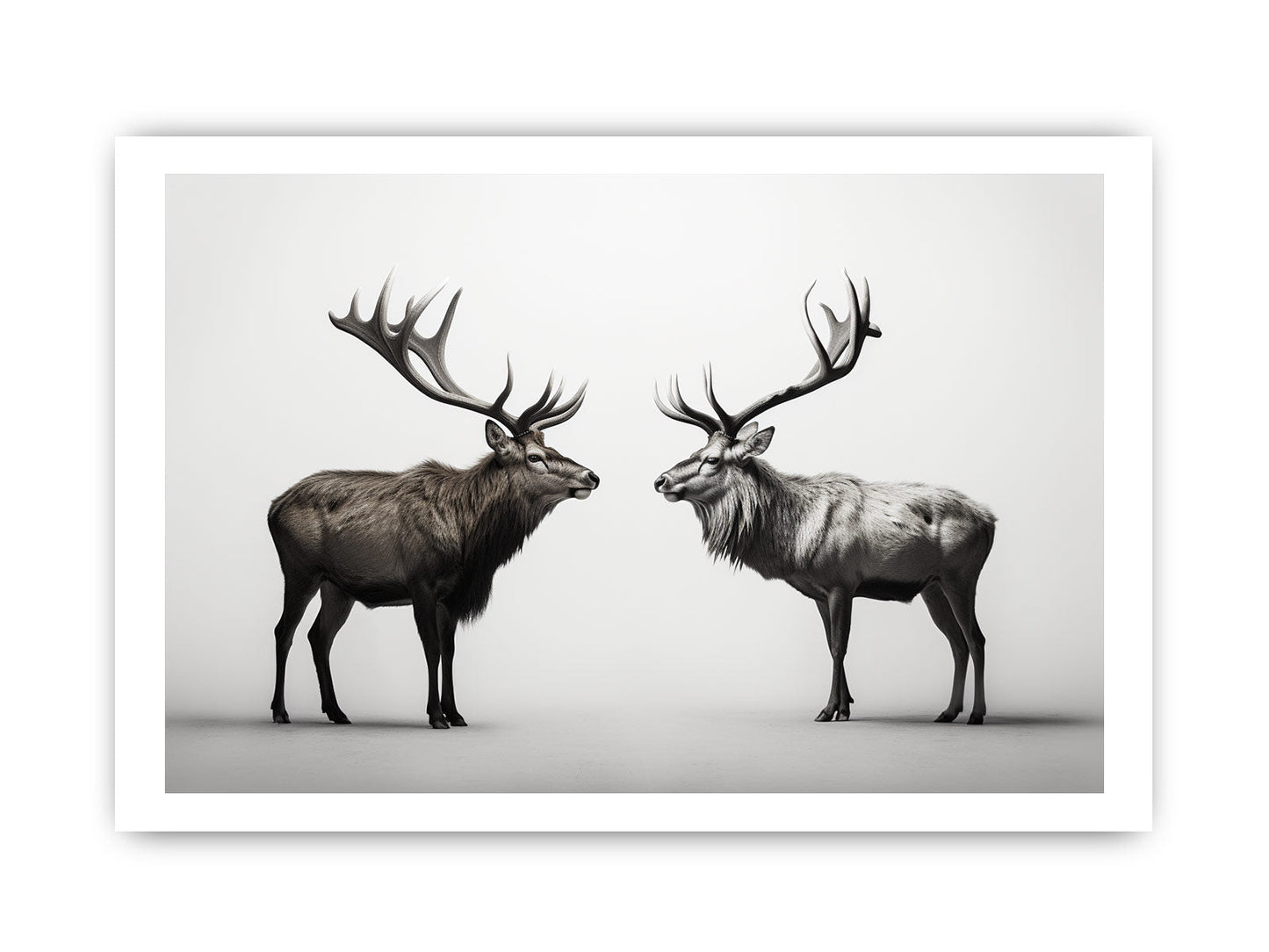 Eye To Eye Stags Canvas Art Print