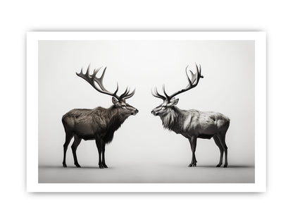 Eye To Eye Stags Canvas Art Print