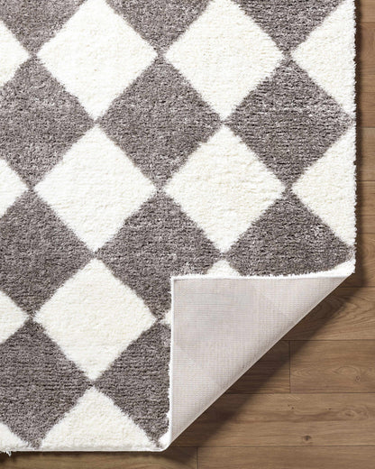 Achaia Dark Gray Area Rug