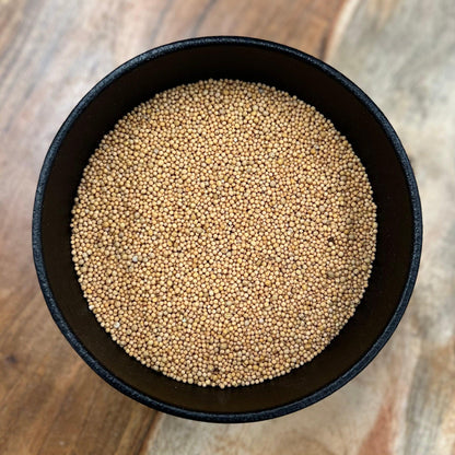 Yellow Mustard Seed Whole (Sinapis Alba)-1
