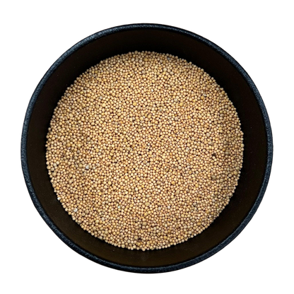 Yellow Mustard Seed Whole (Sinapis Alba)-2