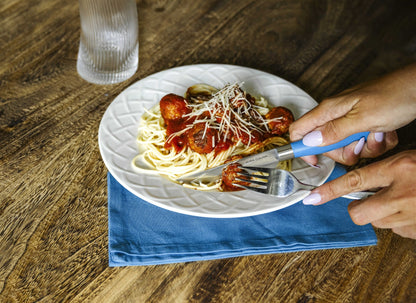 EcoCut 4 Piece Steak Knife Set, Blue