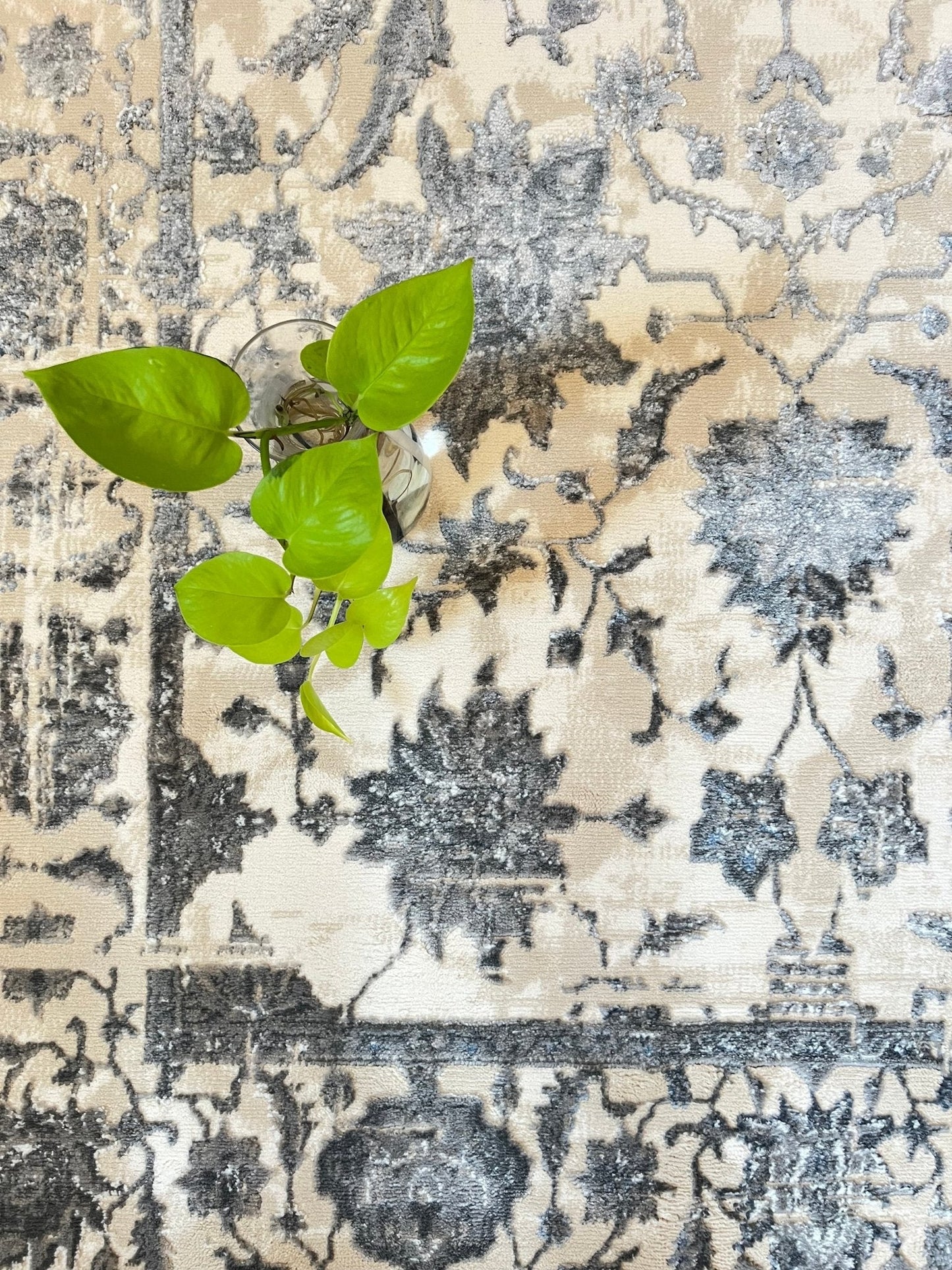 Canvello Area Rugs Premium Rugs for Living Room, Bedroom, Home Dining, Ivory, Grey, Beige