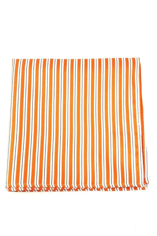 Newton Stripe Pocket Square-3