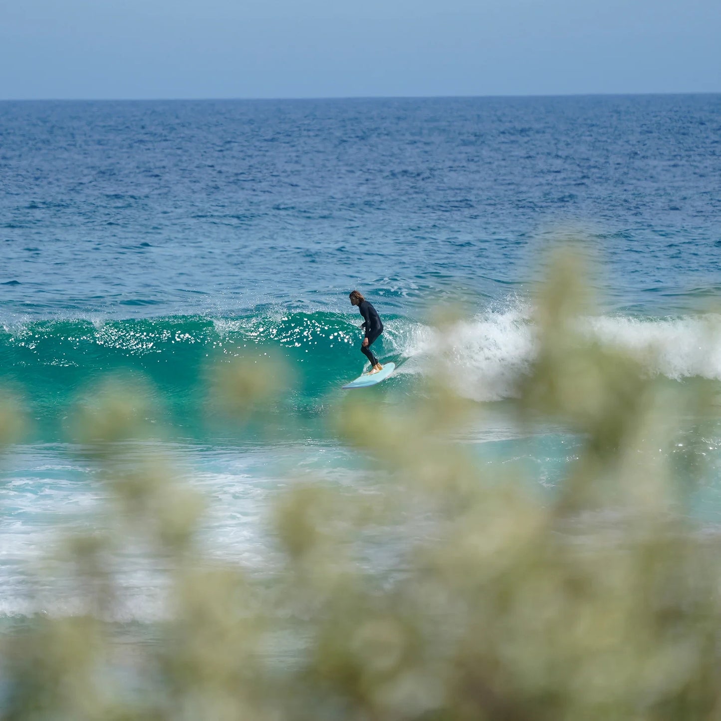 Leash Ocean&Earth LONGBOARD REGULAR - 9FT