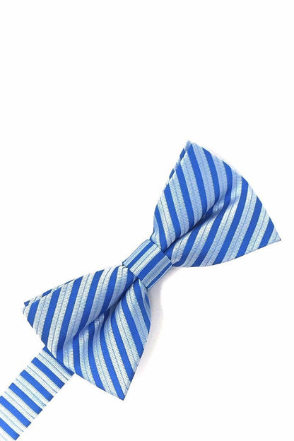 Newton Stripe Bow Tie-2