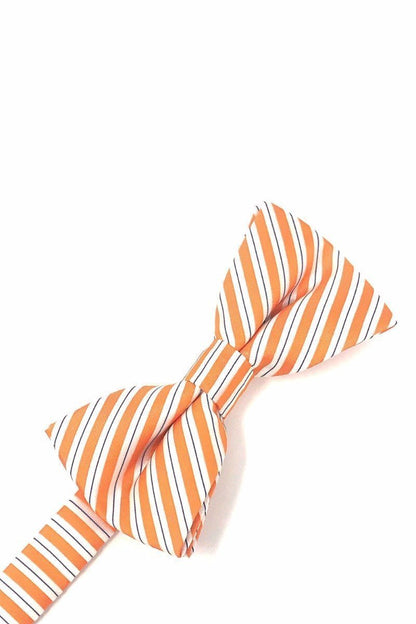 Newton Stripe Bow Tie-4