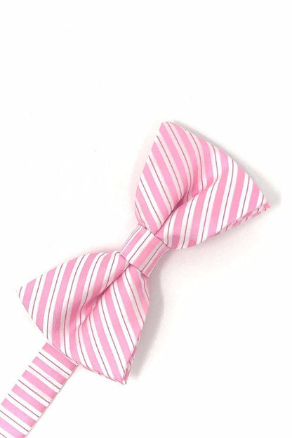 Newton Stripe Bow Tie-5