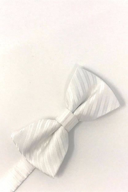 Newton Stripe Bow Tie-1