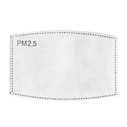 PM 2.5 Filter Inserts (Kids)-1