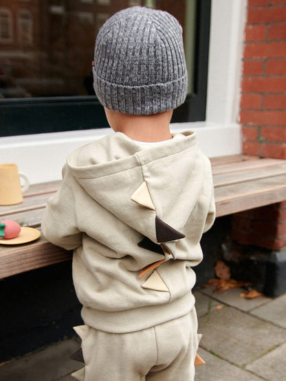 High Quality Spring And Autumn Boys Dinosaur Design Long Sleeves Top Zip-Up Hoodie And Pants Clothing Set