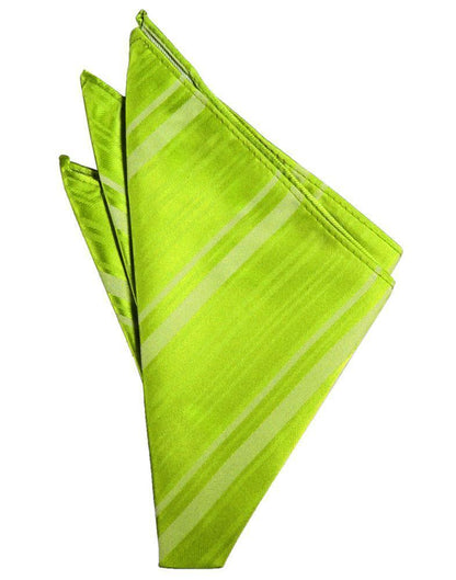 Striped Satin Pocket Square-33