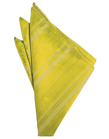Striped Satin Pocket Square-61