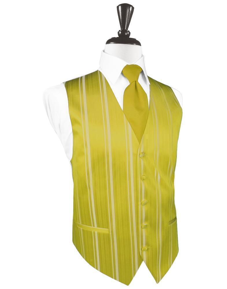 Striped Satin Tuxedo Vest 2-1