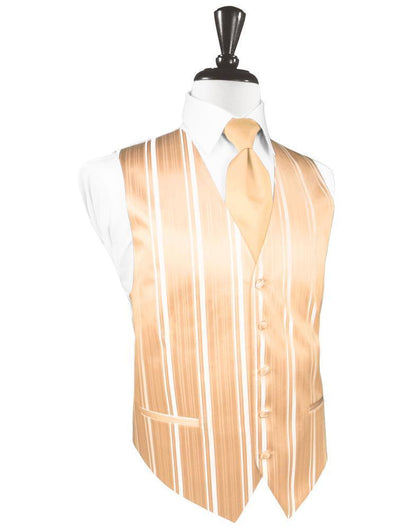 Striped Satin Tuxedo Vest 8-4