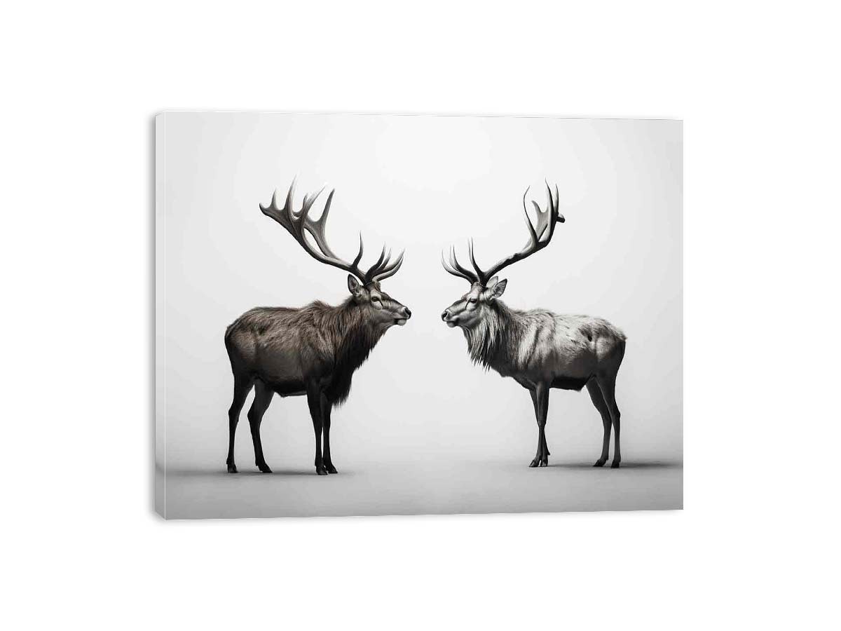 Eye To Eye Stags Canvas Art Print