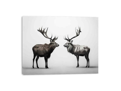 Eye To Eye Stags Canvas Art Print