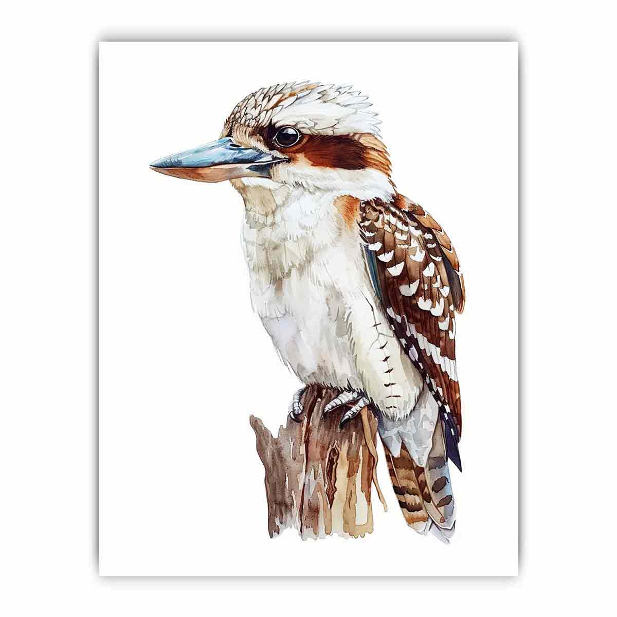 Kookaburra  Canvas Painting Artwork