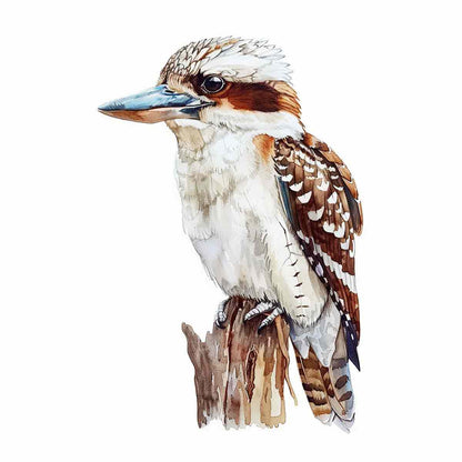 Kookaburra  Canvas Painting Artwork