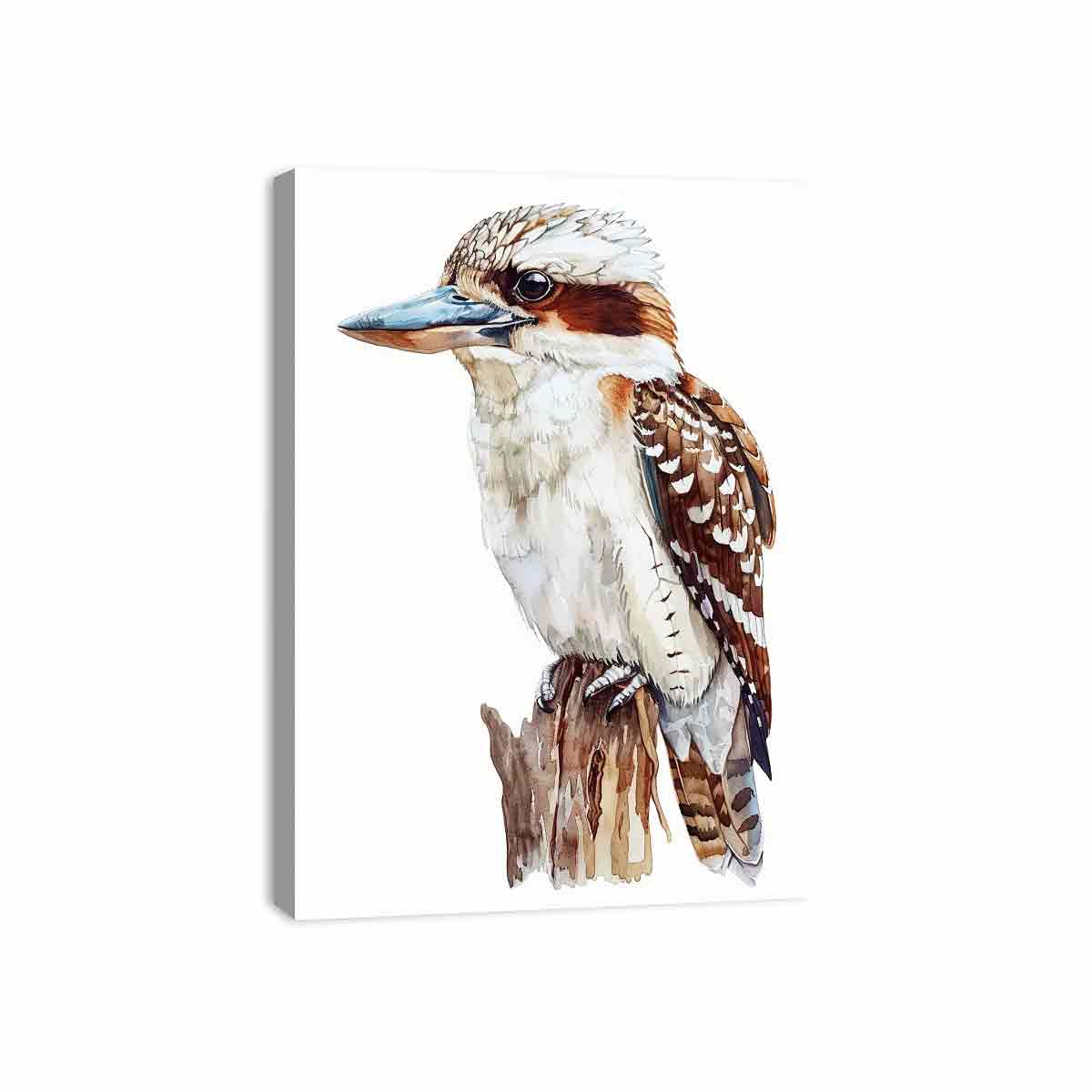 Kookaburra  Canvas Painting Artwork