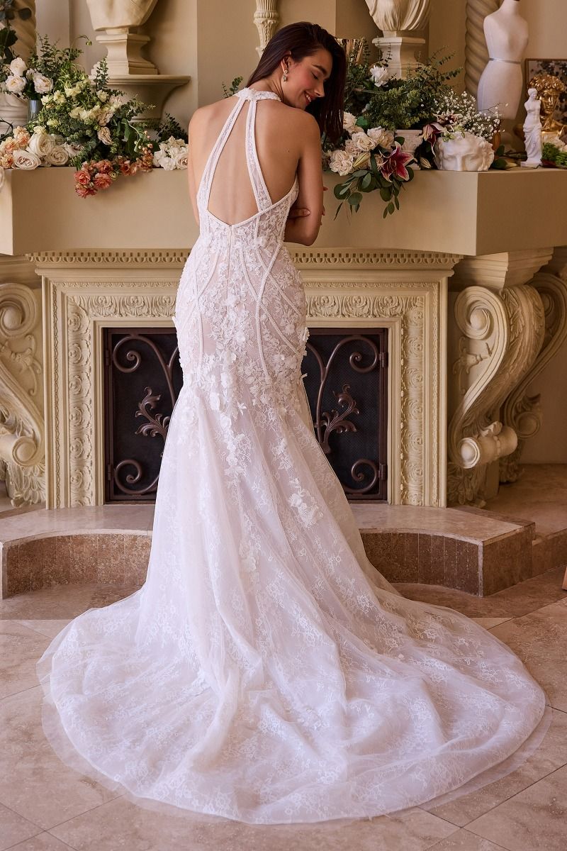 Lace Halter Neck Mermaid Wedding Dress
