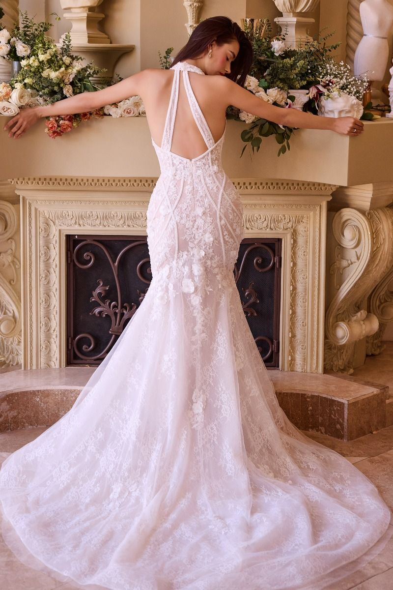 Lace Halter Neck Mermaid Wedding Dress
